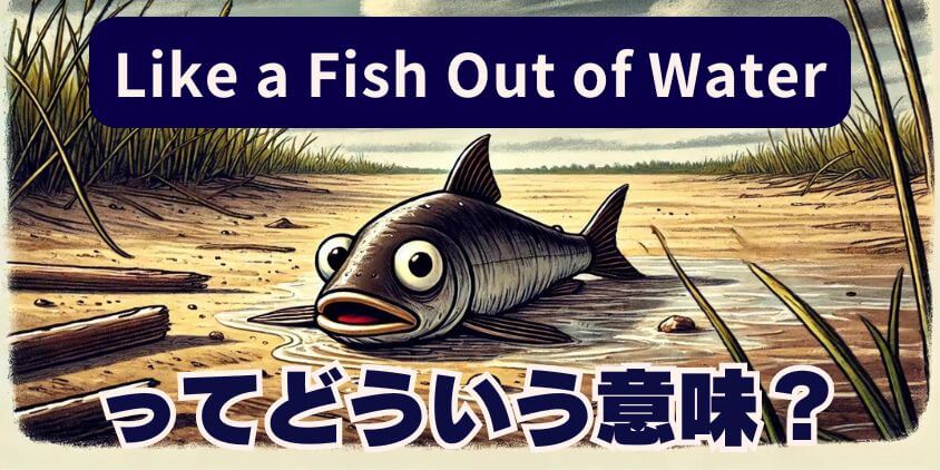 Like a Fish Out of Waterってどういう意味？