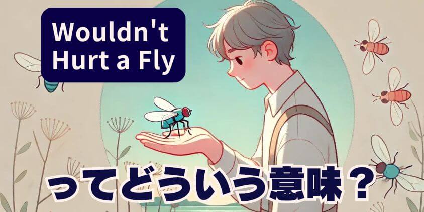 Wouldn't Hurt a Flyってどういう意味？